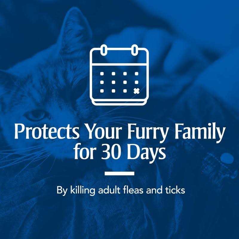 Flea and Tick Treatment for Cats W367825