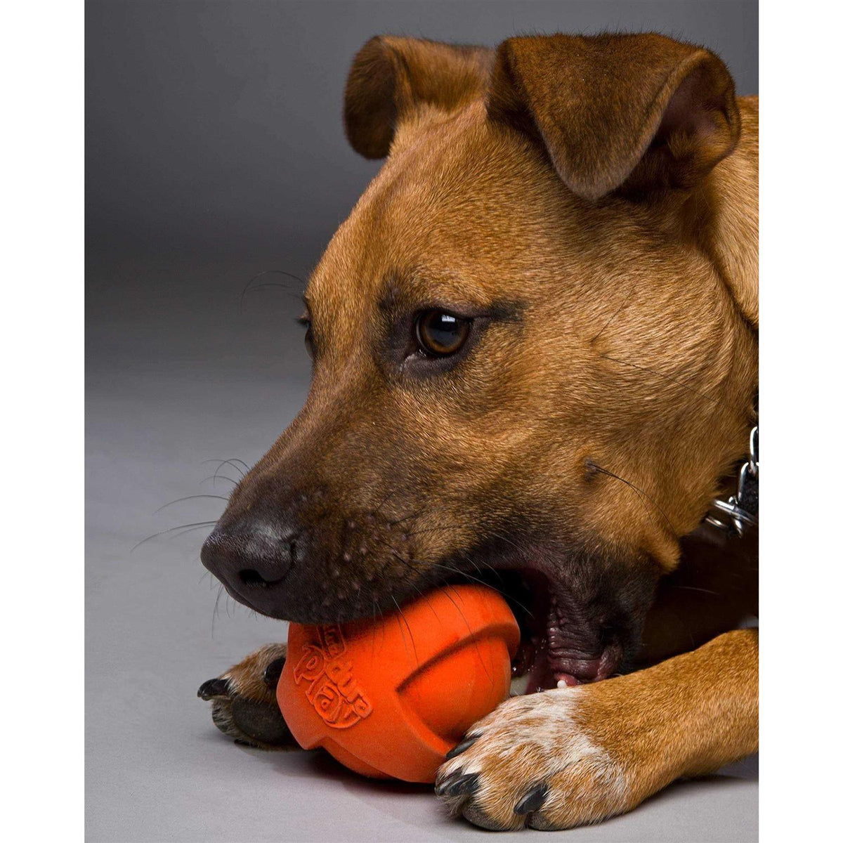 Dura Play Ball Dog Toy T296800