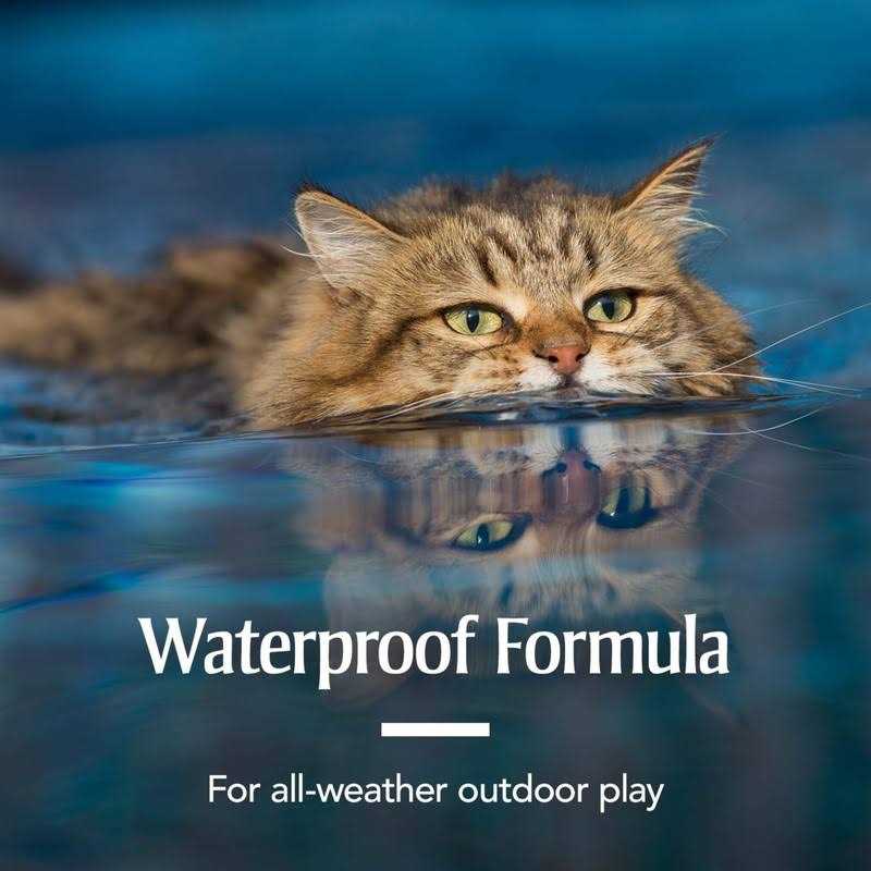 Flea and Tick Treatment for Cats W367825