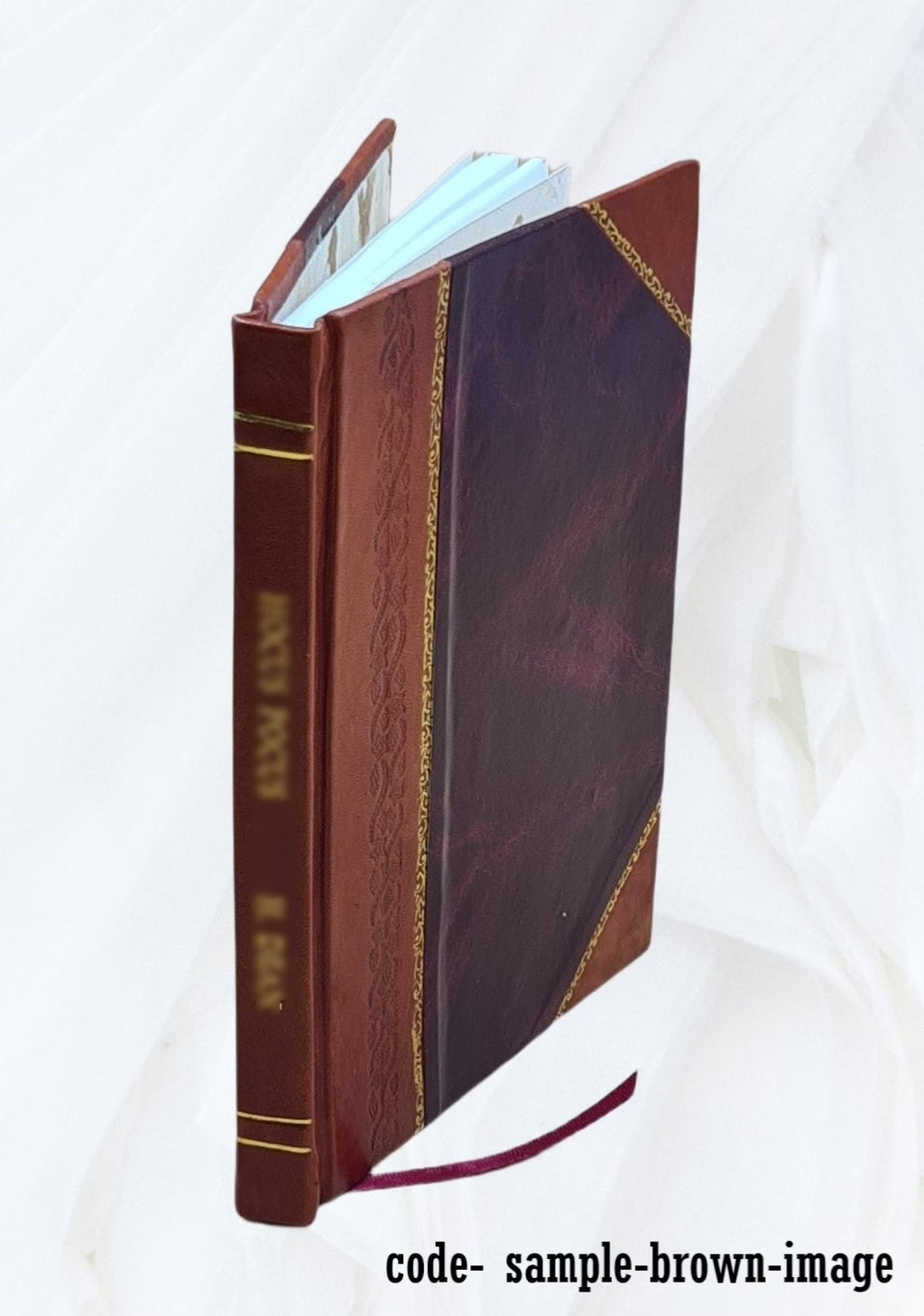 Whales and Dolphins Species Synopsis, Leather Bound L35644