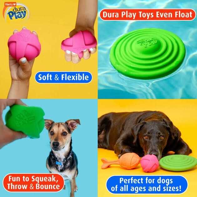 Dura Play Ball Dog Toy T296800