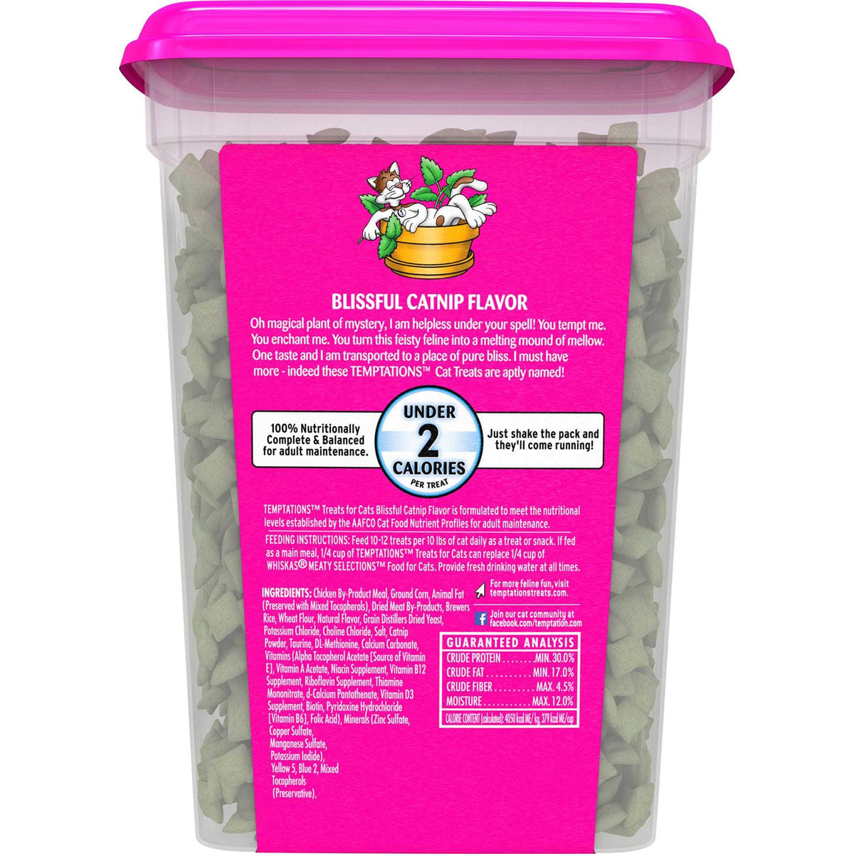 Blissful Catnip Flavor Cat Treats V829423