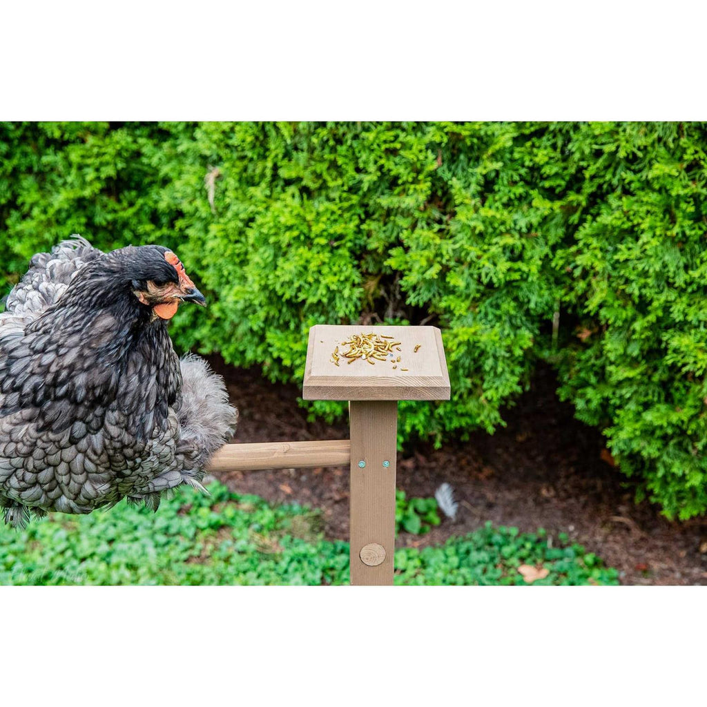 Double Roosting Perch W861