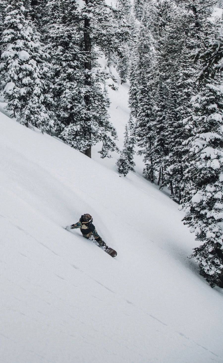 Arbor Camber Snowboard C17802