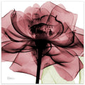 Tempered Glass Panel Wall Art U20692